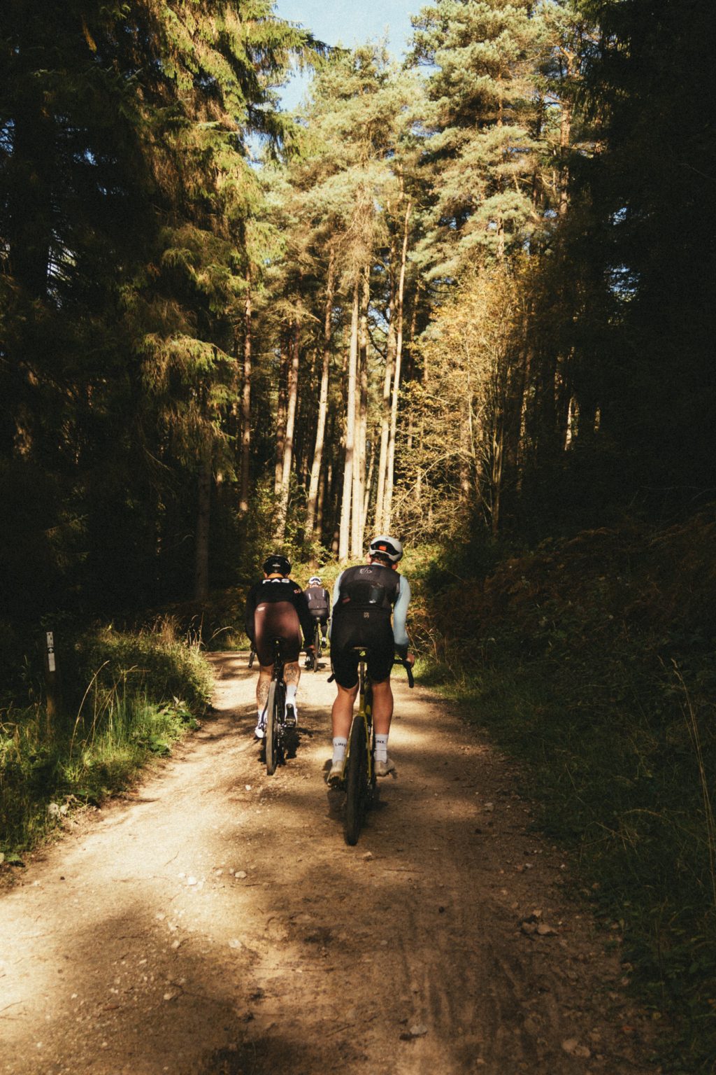 A MIDWEEK GRAVEL RIDE AT DALBY FOREST
